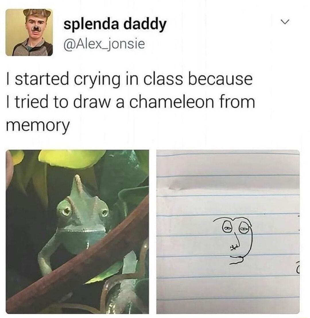 splenda daddy Alex_jonsie started crying in class because tried to draw a chameleon from memory