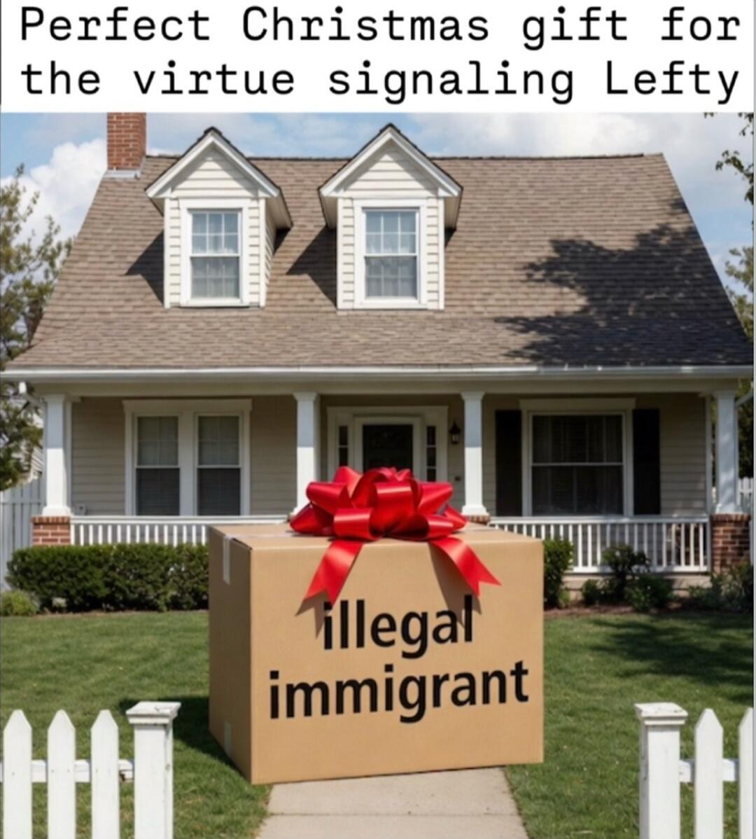 Perfect Christmas gift for the virtue signaling Lefty
illegal immigrant