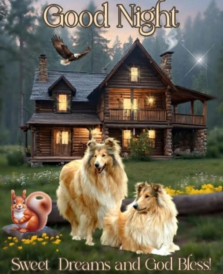 Good Night
Sweet Dreams and God Bless!