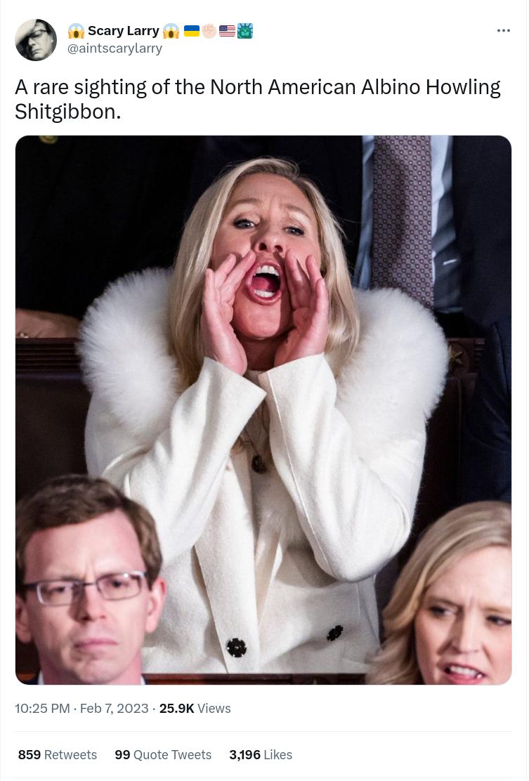 Scznfuny 1 A rare sighting of the North American Albino Howling Shitgibbon 859 Retweets 99 Quote Tweets 3196 Lik