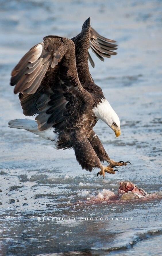 © JAYMORR PHOTOGRAPHY