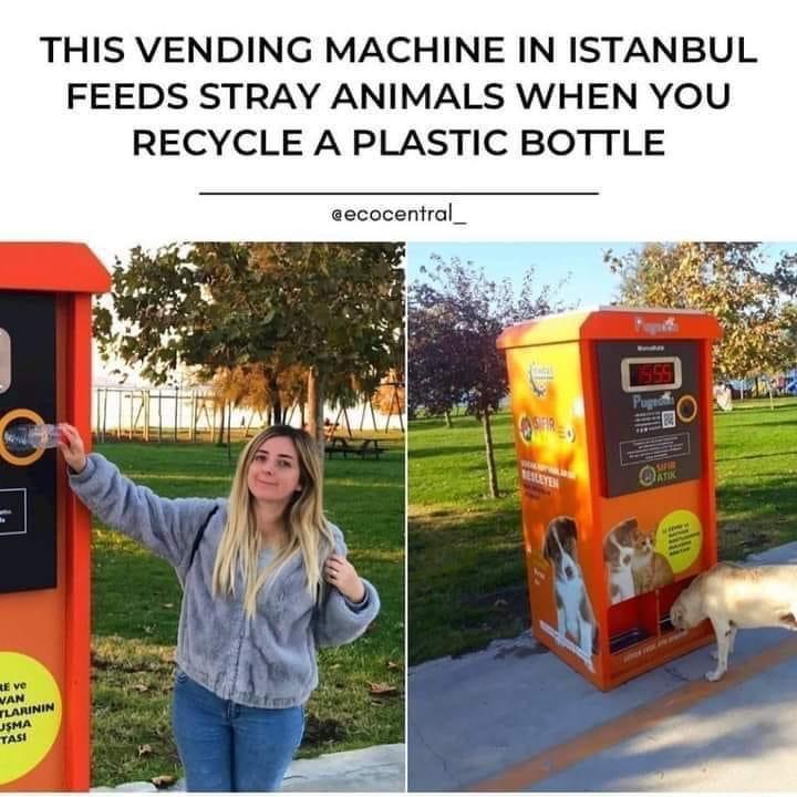 THIS VENDING MACHINE IN ISTANBUL FEEDS STRAY ANIMALS WHEN YOU RECYCLE A PLASTIC BOTTLE ntral_