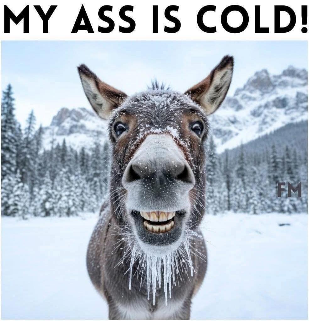 MY ASS IS COLD!