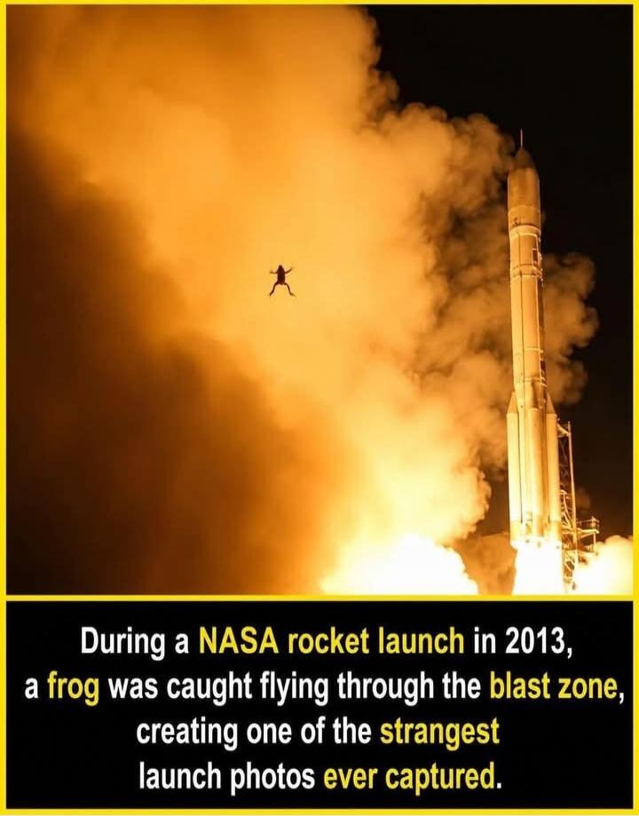 During a NASA rocket launch in 2013, a frog was caught flying through the blast zone, creating one of the strangest launch photos ever captured.