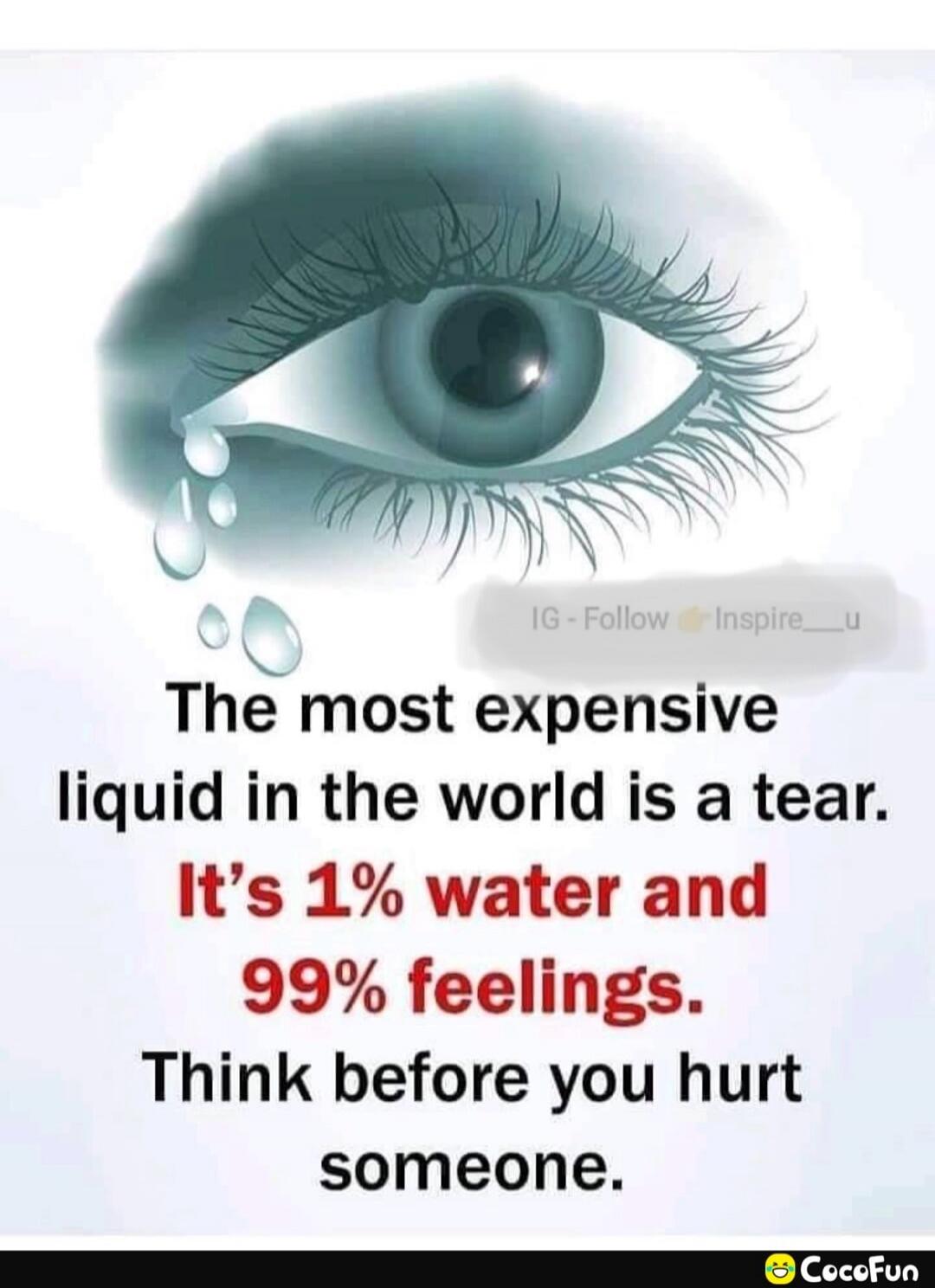 The most expensive liquid in the world is a tear. It's 1% water and 99% feelings. Think before you hurt someone.