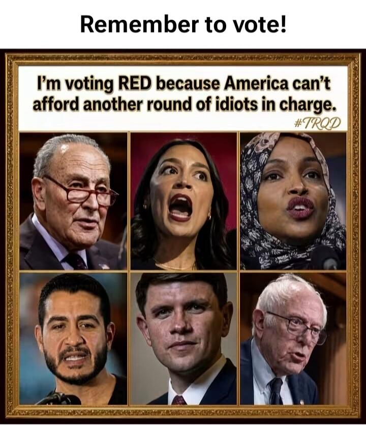 Remember to vote! I'm voting RED because America can't afford another round of idiots in charge. #TRQD