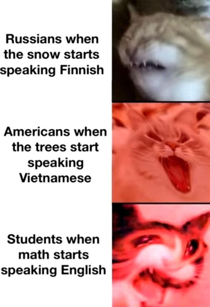 Russians when the snow starts speaking Finnish Americans when the trees start speaking Vietnamese Students when math starts speaking English