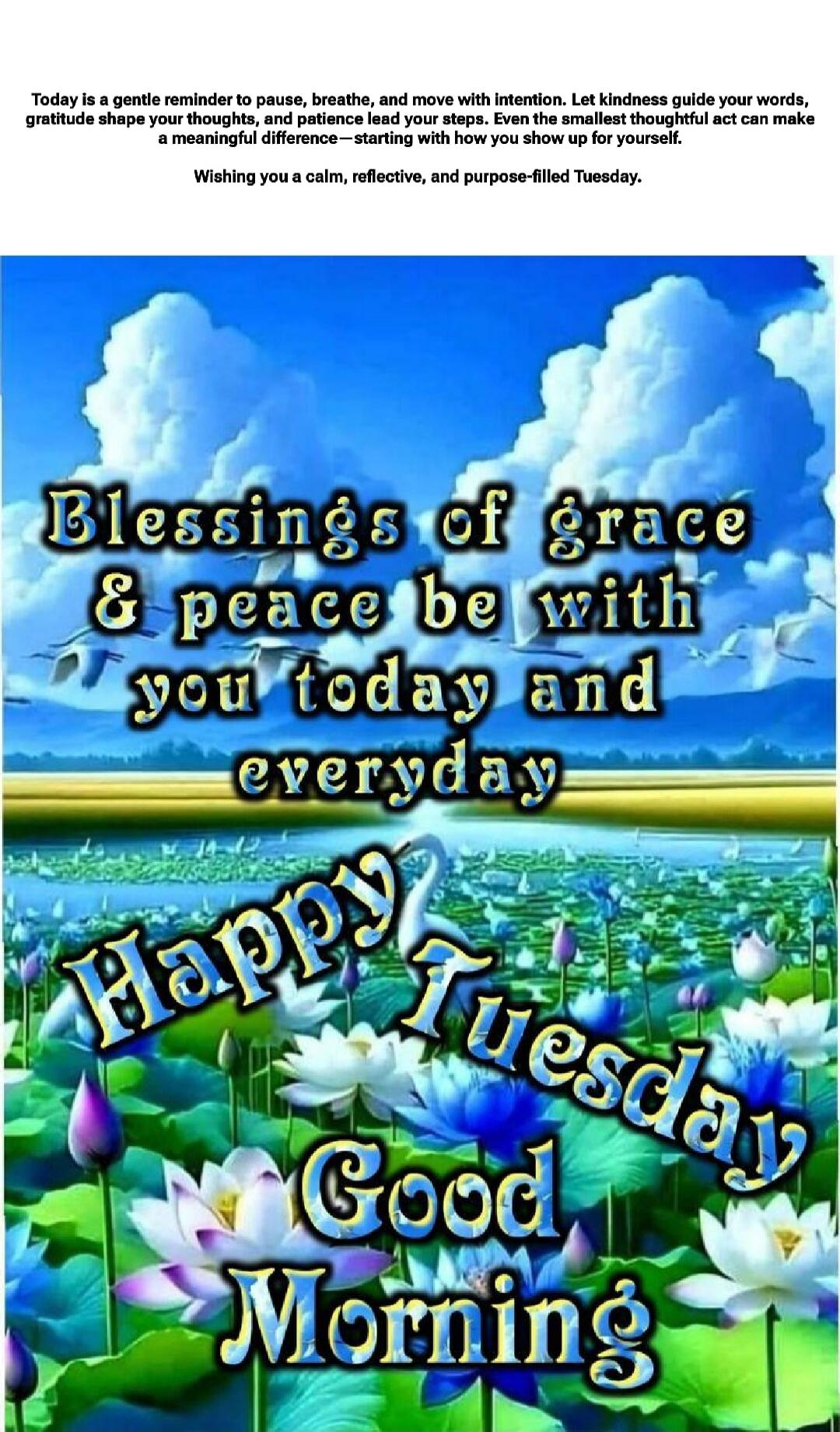 Today is a gentle reminder to pause, breathe, and move with intention. Let kindness guide your words, gratitude shape your thoughts, and patience lead your steps. Even the smallest thoughtful act can make a meaningful difference—starting with how you show up for yourself. Wishing you a calm, reflective, and purpose-filled Tuesday.

Blessings of gra