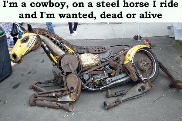 Im a cowboy on a stee and Im wanted dead or alive