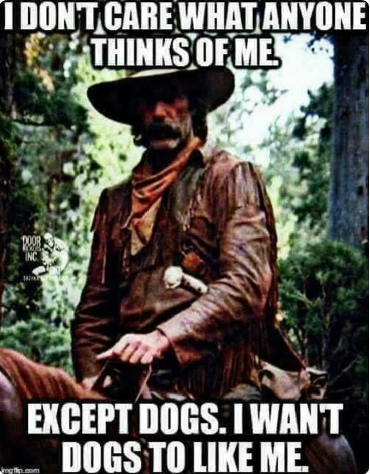 I DON'T CARE WHAT ANYONE THINKS OF ME. EXCEPT DOGS. I WANT DOGS TO LIKE ME.