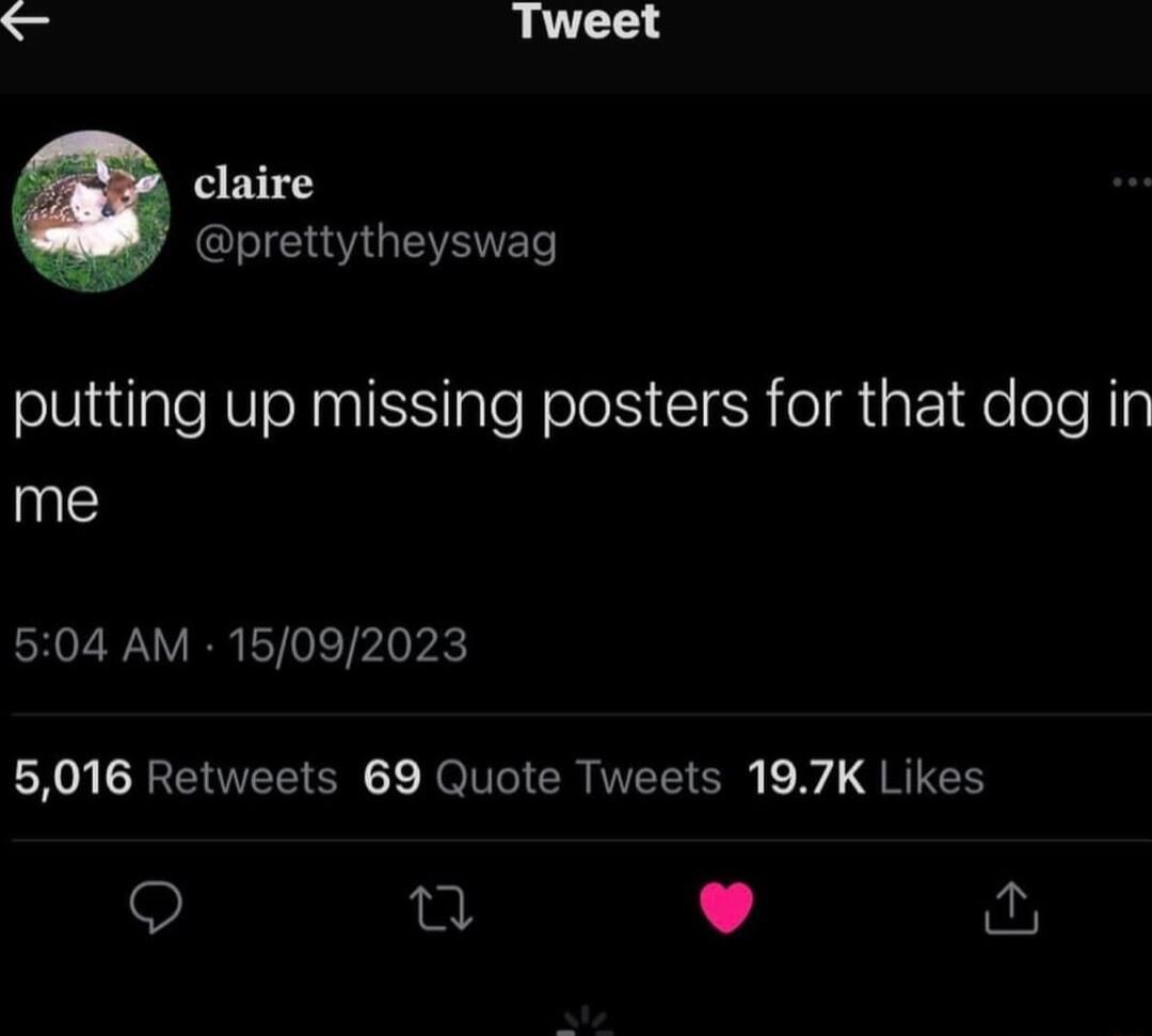 claire R GEVENEL putting up missing posters for that dog in me 504 AM 15092023 5016 Retweets 69 Quote Tweets 197K Likes et L 4