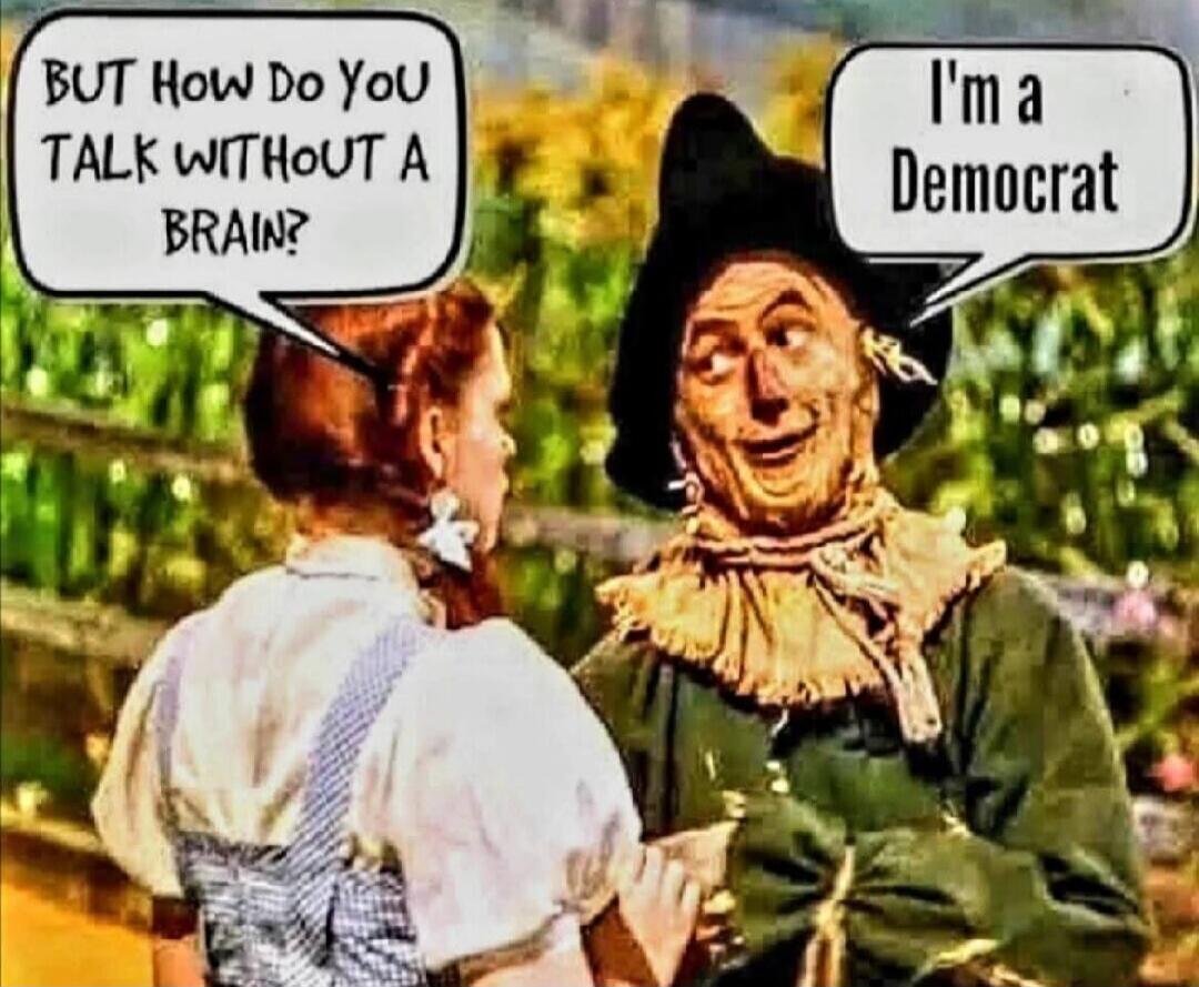 BUT How Do You TALK WITHOUT A BRAIN? I'm a Democrat