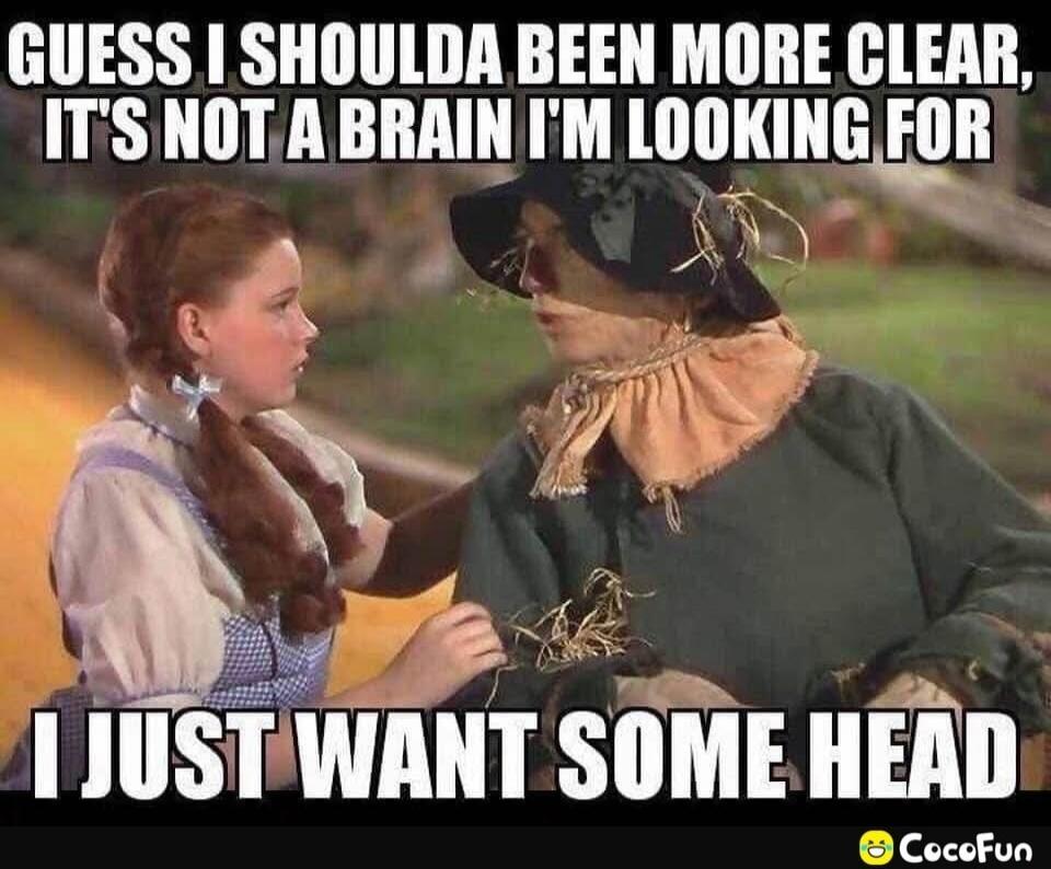 GUESS I SHOULDA BEEN MORE CLEAR, IT'S NOT A BRAIN I'M LOOKING FOR I JUST WANT SOME HEAD