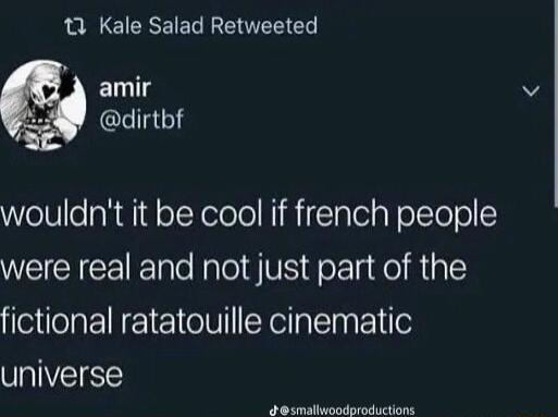 je W EREEGENEECL amir CLIEGTE Welllo s Ruid ol elelo NillalolaNolctelo were real and not just part of the fictional ratatouille cinematic universe e ehiisodameine