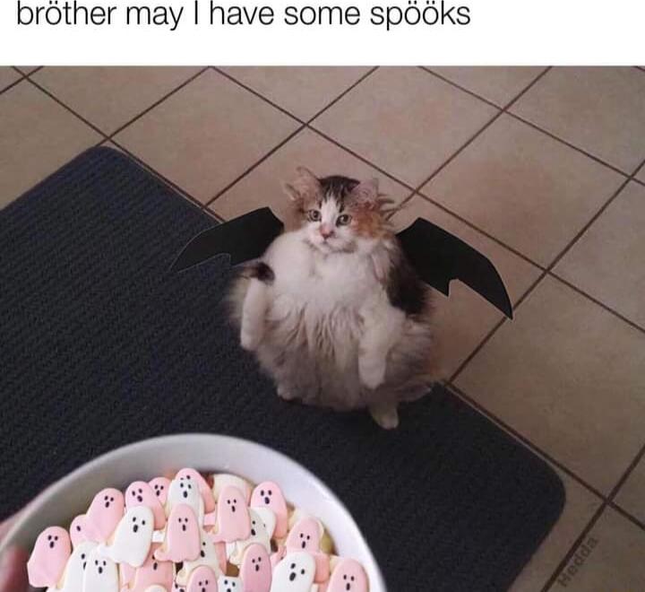 ther may have some SpOOks