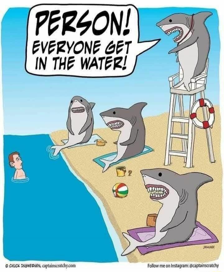 PERSON! EVERYONE GET IN THE WATER!