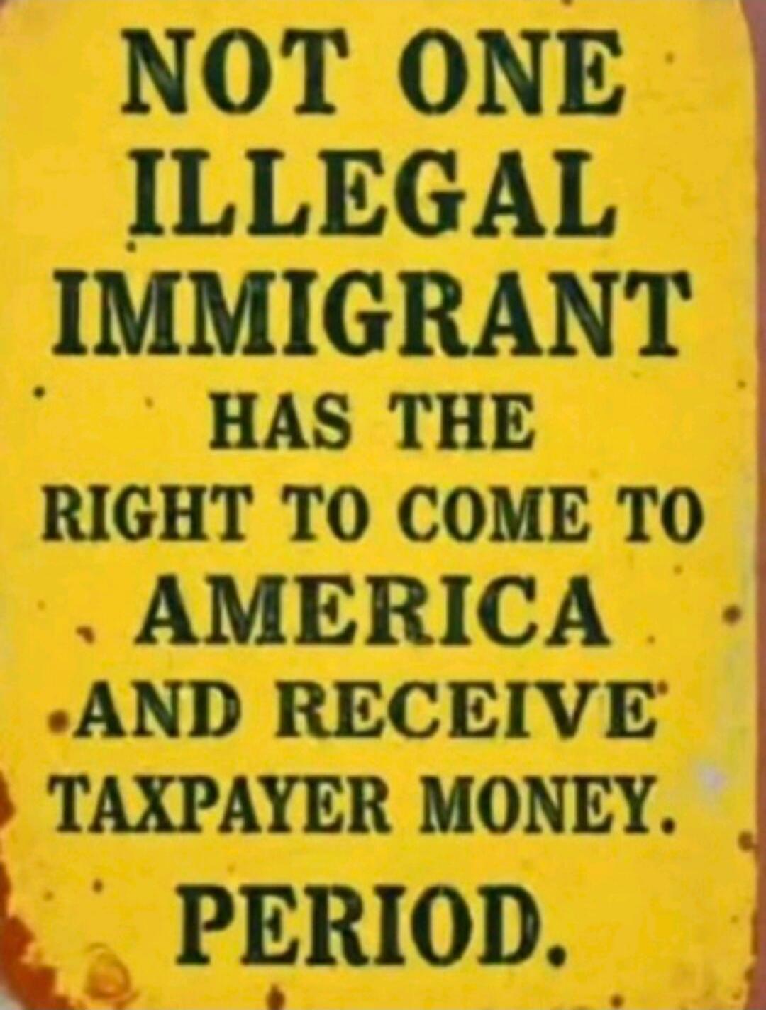 NOT ONE ILLEGAL IMMIGRANT HAS THE RIGHT TO COME TO AMERICA AND RECEIVE TAXPAYER MONEY. PERIOD.