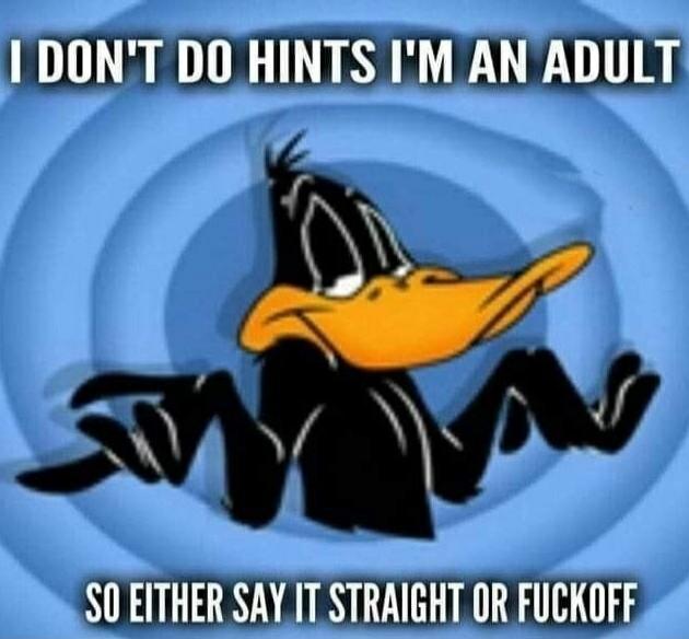 I DON'T DO HINTS I'M AN ADULT SO EITHER SAY IT STRAIGHT OR FUCK OFF