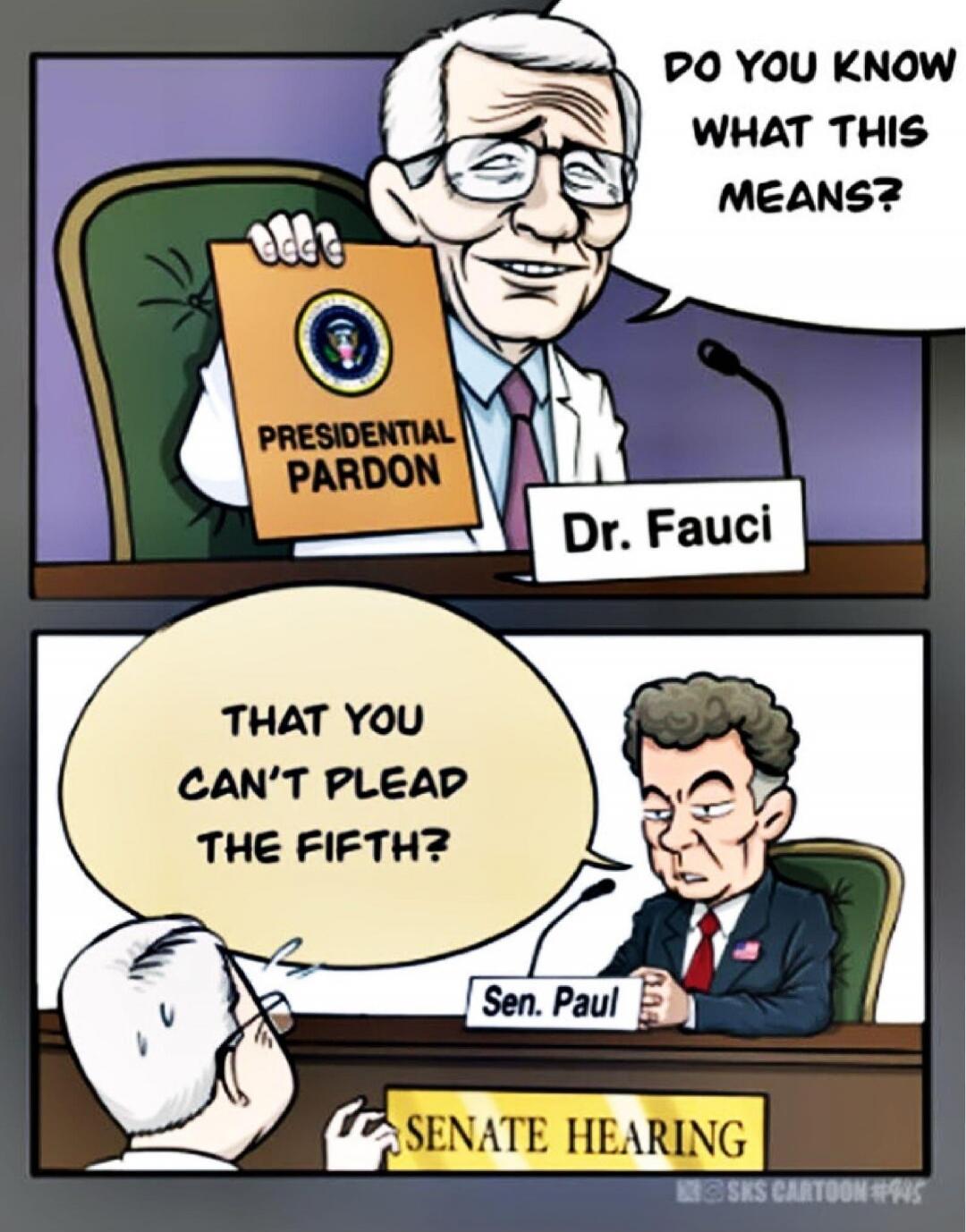 DO YOU KNOW WHAT THIS MEANS? PRESIDENTIAL PARDON. Dr. Fauci. THAT YOU CAN'T PLEAD THE FIFTH? Sen. Paul. SENATE HEARING. SKS CARTOON #415.