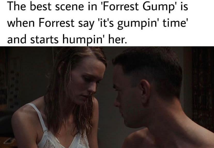 The best scene in Forrest Gump is when Forrest say its gumpin time and starts humpin her