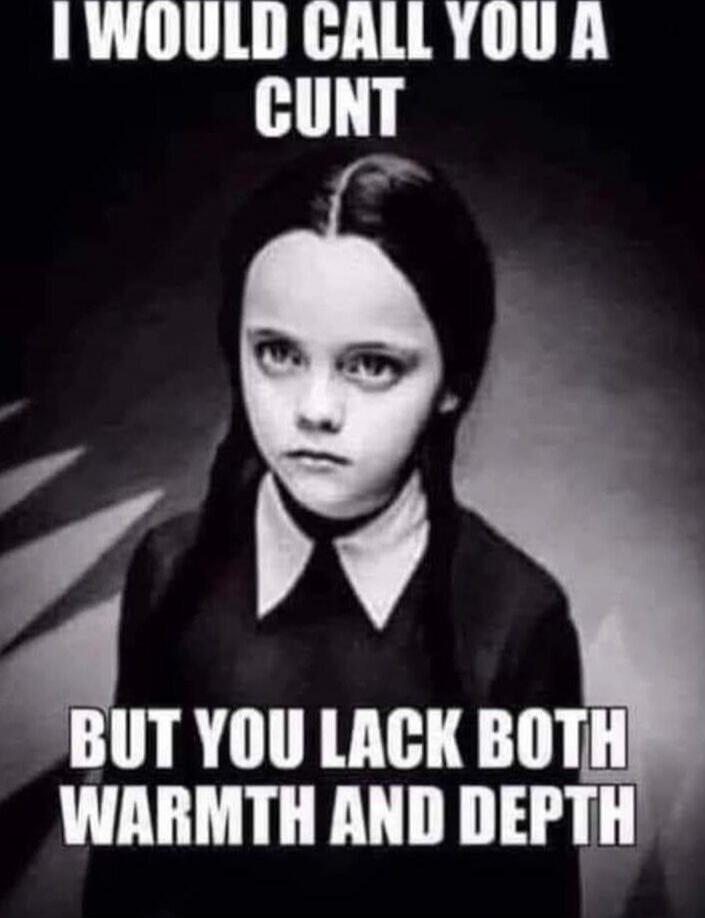 I WOULD CALL YOU A CUNT BUT YOU LACK BOTH WARMTH AND DEPTH