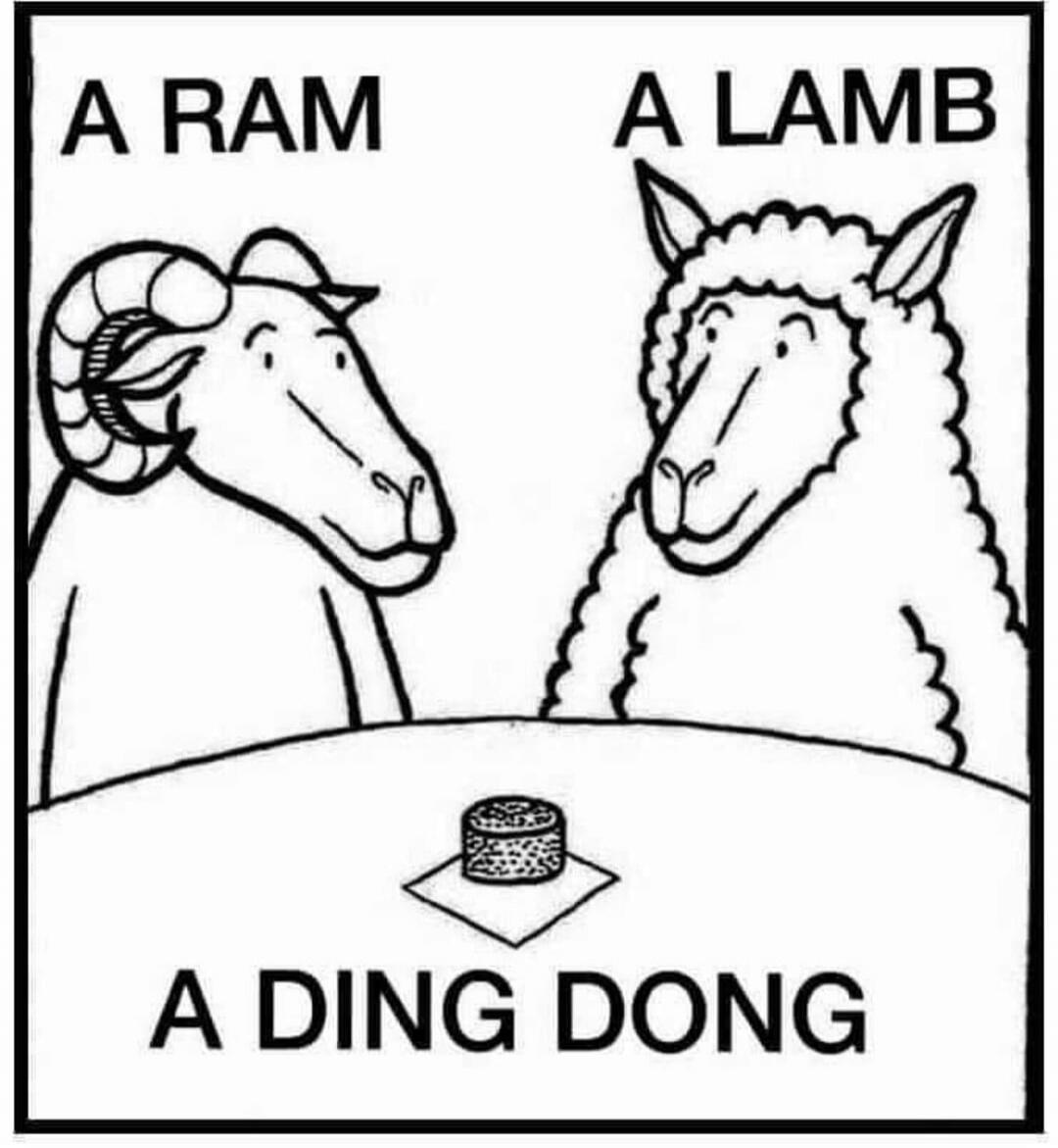 A RAM       A LAMB\nA DING DONG