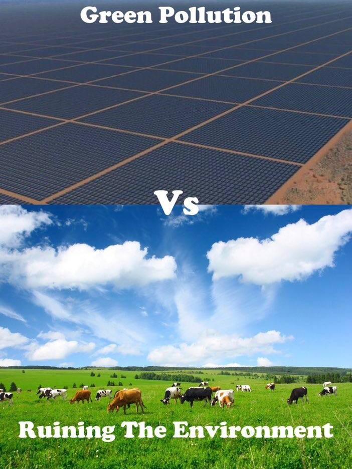 Green Pollution Ruinin fhe EWiromnnt S Fop