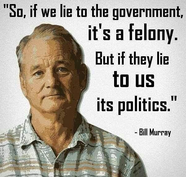 Sn if we lie to the government its a felony But if they lie tous its politics Bill Murray