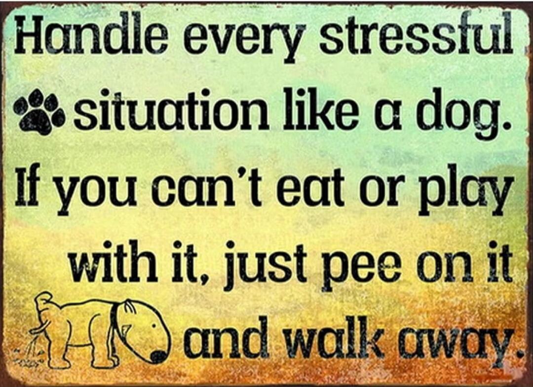 Handle every stressful situation like a dog. If you can't eat or play with it, just pee on it and walk away.