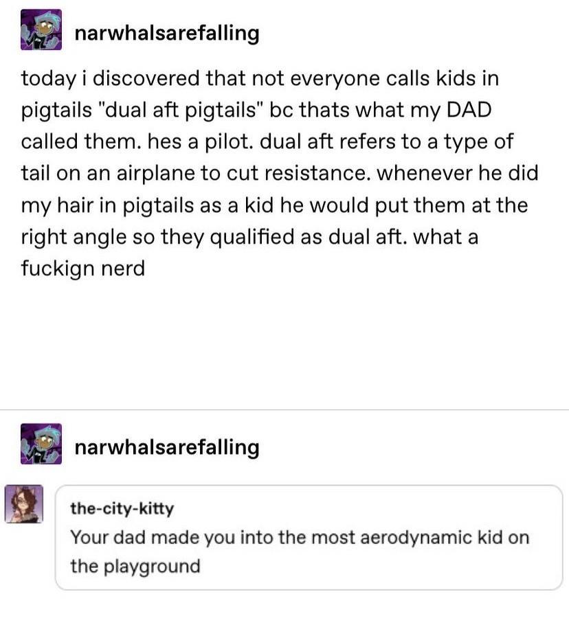 narwhalsarefalling today i discovered that not everyone calls kids in pigtails dual aft pigtails bc thats what my DAD called them hes a pilot dual aft refers to a type of tail on an airplane to cut resistance whenever he did my hair in pigtails as a kid he would put them at the right angle so they qualified as dual aft what a fuckign nerd B rerwhaisarefaliing the city kitty Your dad made you into 