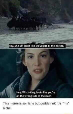 Mey Witch King looks like youre s R This meme Is so niche but goddamnit it is niche