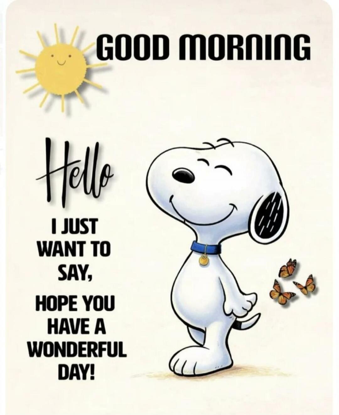 GOOD MORNING Hello I JUST WANT TO SAY, HOPE YOU HAVE A WONDERFUL DAY!