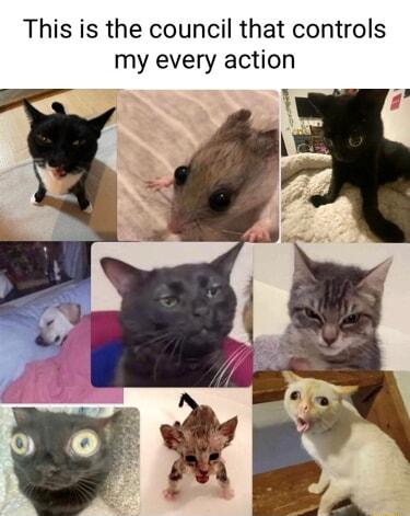 This is the council that controls my every action