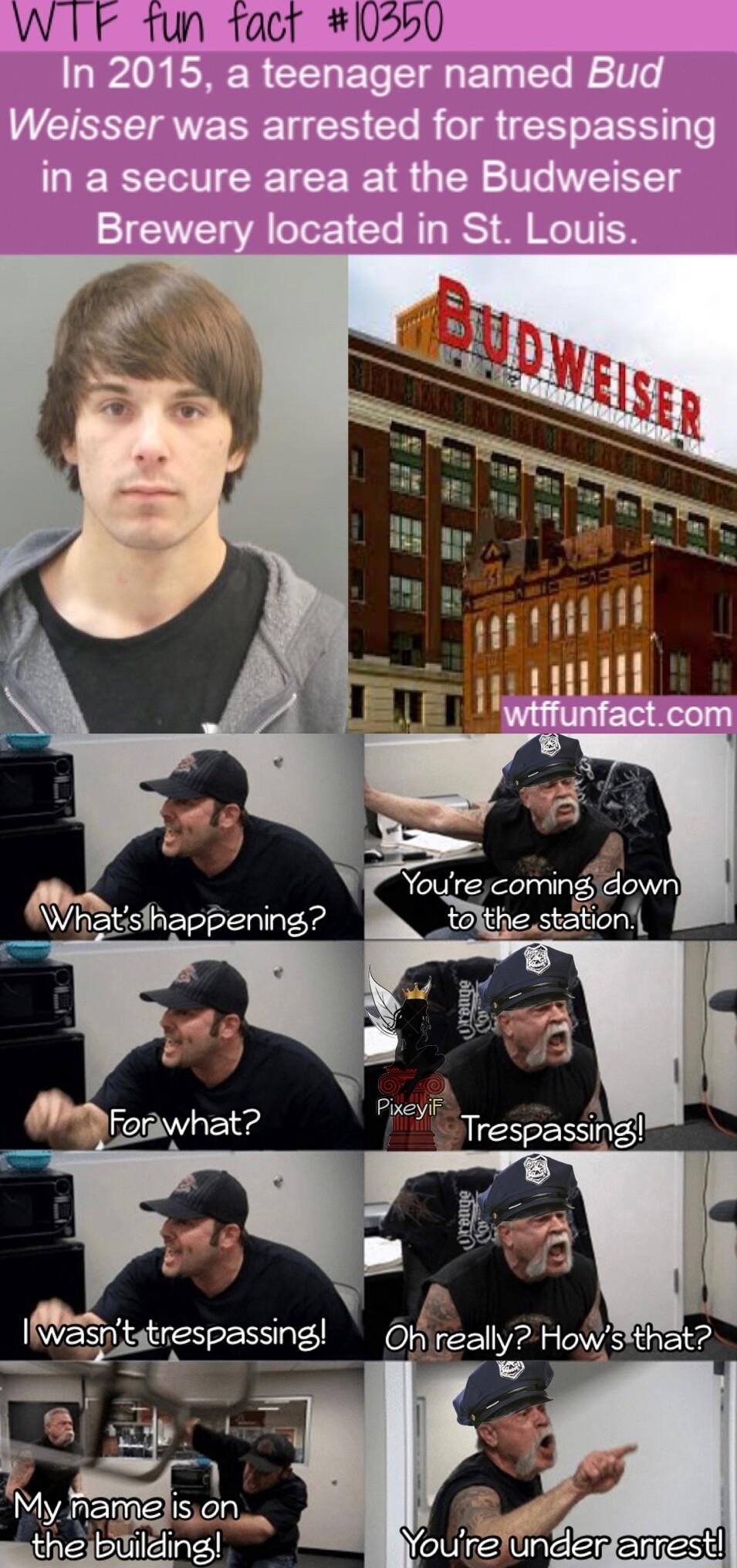 WTF tun facr 0550 IWasn tatrespassing P_I