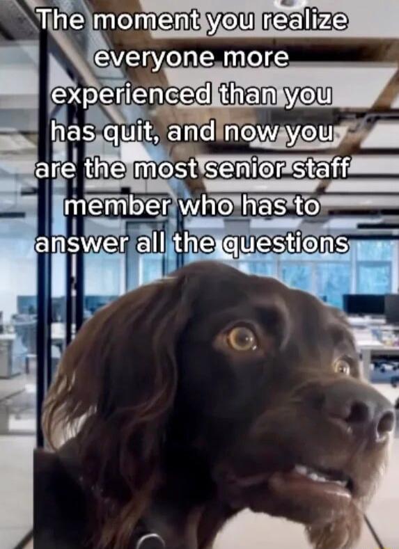 everyone more rmn_ _ l EMEER VRS