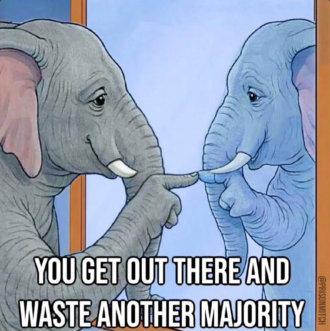YOU GET OUT THERE AND WASTE ANOTHER MAJORITY