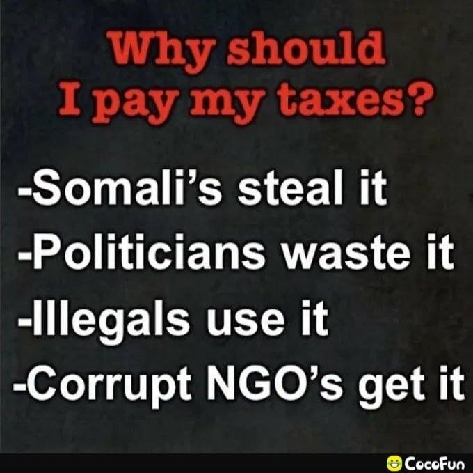 Why should I pay my taxes? -Somali's steal it -Politicians waste it -Illegals use it -Corrupt NGO's get it