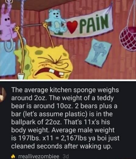 The average kitchen sponge weighs B around 20z The weight of a teddy bear is around 100z 2 bears plus a EIM S LT EE I ER TG REILR G ballpark of 220z Thats 11xs his body weight Average male weight is 197Ibs x11 2167Ibs ya boi just cleaned seconds after waking up rreallivezombiee