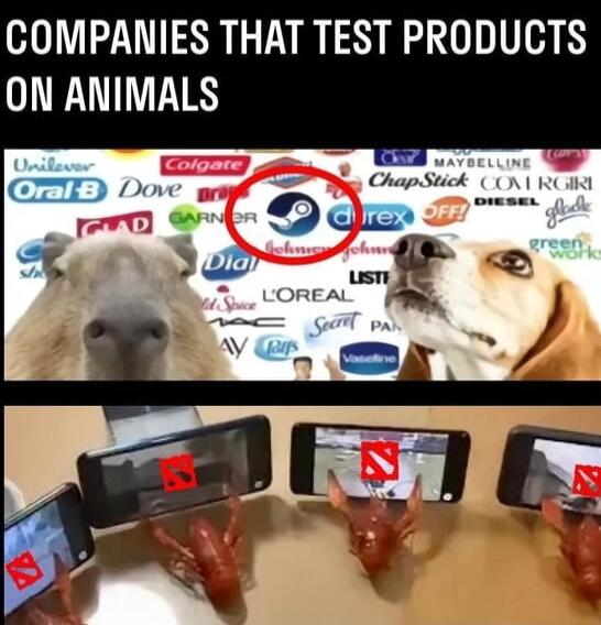COMPANIES THAT TEST PRODUCTS ON ANIMALS
