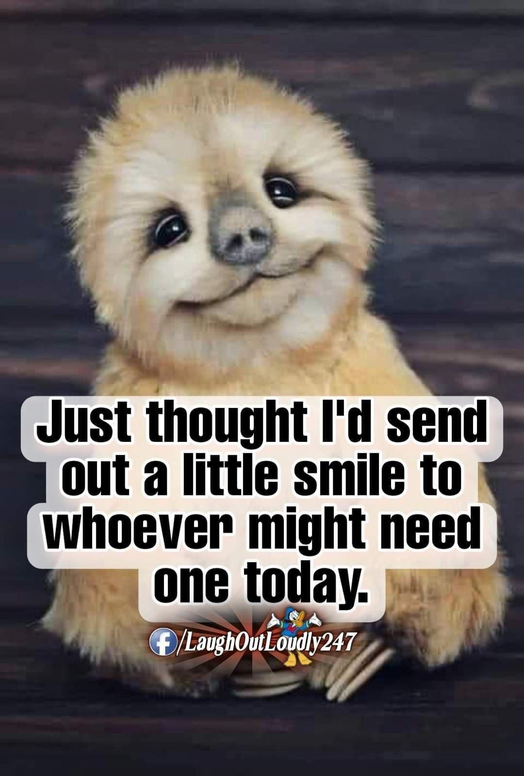 2 N S Just thought Id send out a little smile to whoever might need one today YA QLaughOutLodly247 p