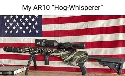 My AR10 Hog Whisperer