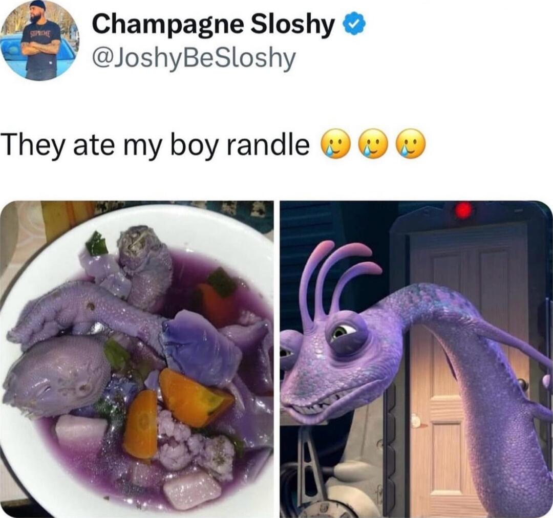 y Champagne Sloshy JoshyBeSloshy hey ate my boy randle
