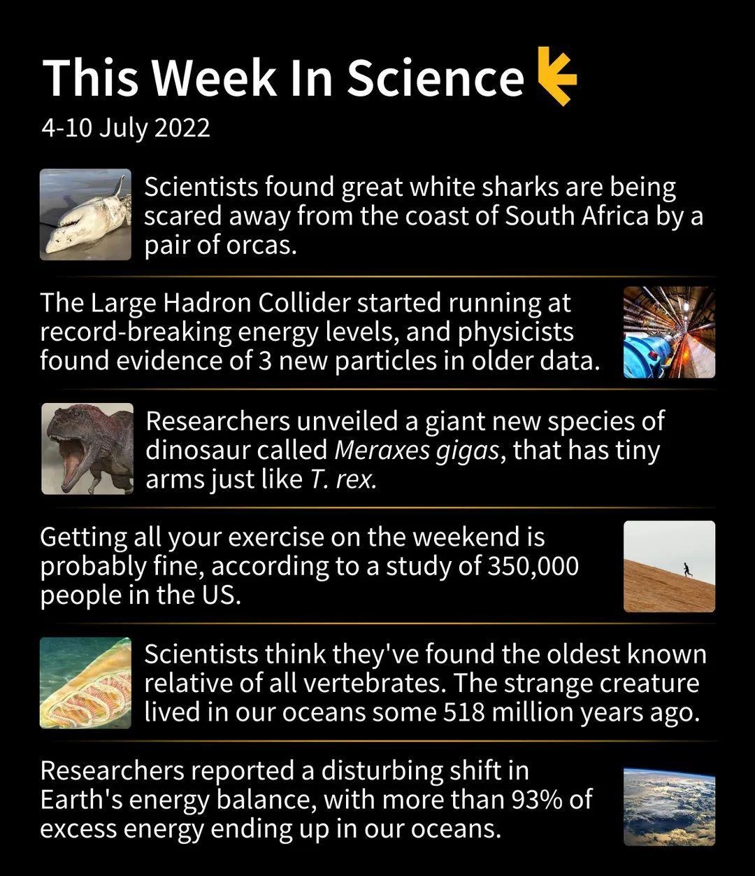 This Week In Science 4 10 July 2022 Scientists found great white sharks are being scared away from the coast of South Africa by a pair of orcas The Large Hadron Collider started running at record breaking energy levels and physicists found evidence of 3 new particles in older data Researchers unveiled a giant new species of dinosaur called Meraxes gigas that has tiny arms just like T rex Getting a