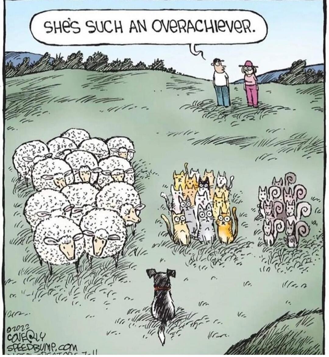 SHE'S SUCH AN OVERACHIEVER.