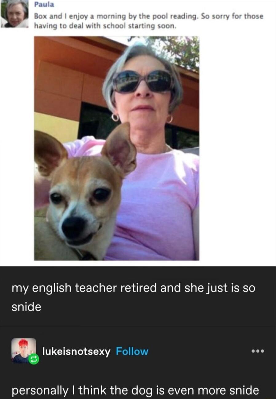 my english teacher retired and she just is so snide q lukeisnotsexy Follow personally think the dog is even more snide