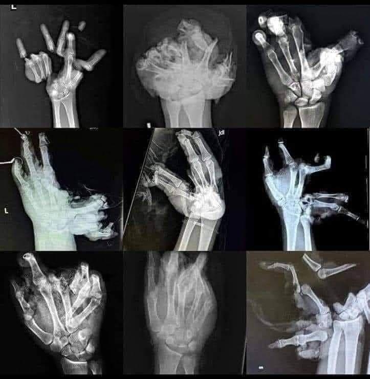 Its fireworks season