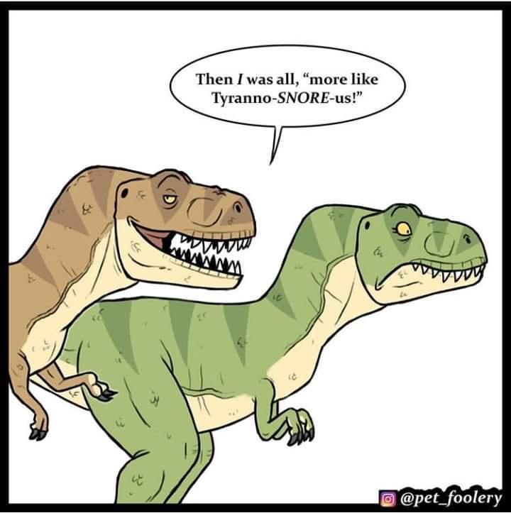 Then I was all more like Tyranno SNORE us pet_foolery