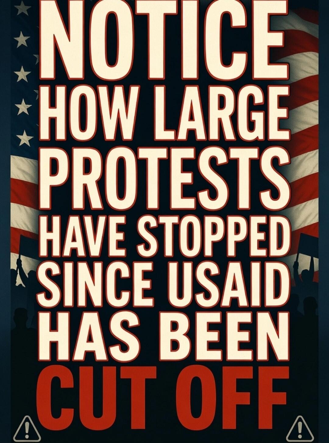 NOTICE HOW LARGE PROTESTS HAVE STOPPED SINCE USAID HAS BEEN CUT OFF