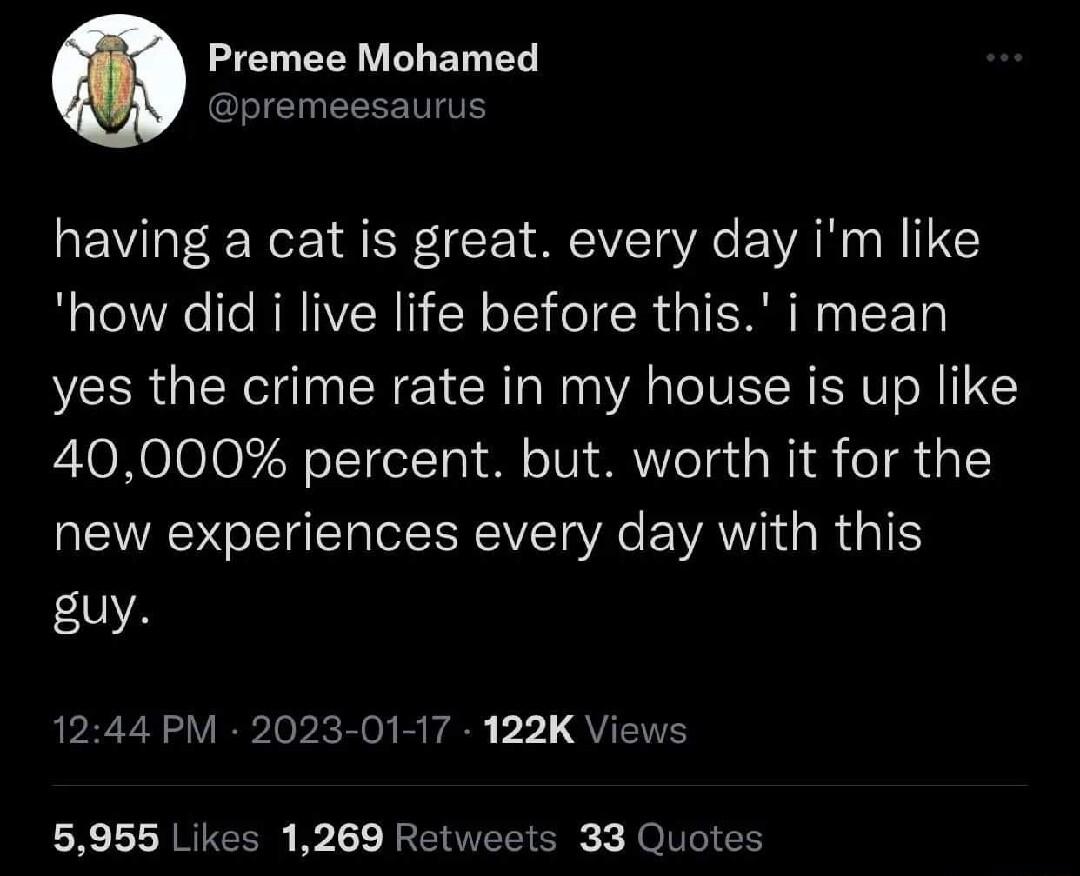 Premee Mohamed premeesaurus having a cat is great every day im like how did i live life before this i mean yes the crime rate in my house is up like 40000 percent but worth it for the new experiences every day with this guy 1244 PM 2023 01 17 122K Views 5955 Likes 1269 Re ts 33 Quotes