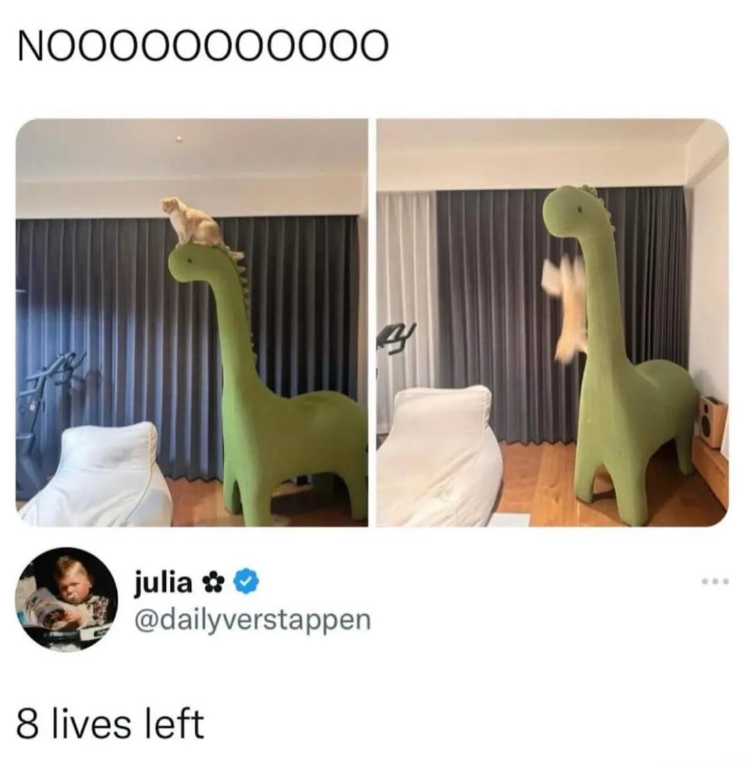 NOOOOOOO0000 julia dailyverstappen 8 lives left